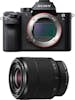 Sony Sony ALPHA 7S II + SEL FE 28-70 mm f/3,5-5,6 OSS Sony Sony ALPHA 7S II + SEL FE 28-70 mm f/3,5-5,6 OSS