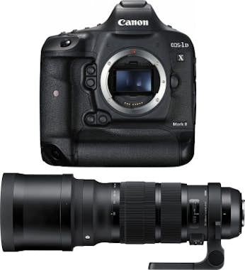 Canon Canon EOS 1D X Mark II + Sigma 120-300mm f/2.8 DG Canon Canon EOS 1D X Mark II + Sigma 120-300mm f/2.8 DG
