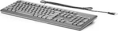 HP HP USB Standard Keyboard USB Negro, Plata HP HP USB Standard Keyboard USB Negro, Plata