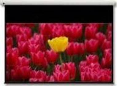 Optoma Optoma Panoview 16:9 106"" 106"" 16:9 pantalla de Optoma Optoma Panoview 16:9 106"" 106"" 16:9 pantalla de