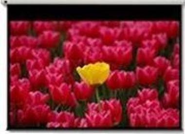 Optoma Optoma Pantalla 16:9 2656 x 1494mm 120"" 16:9 pant Optoma Optoma Pantalla 16:9 2656 x 1494mm 120"" 16:9 pant