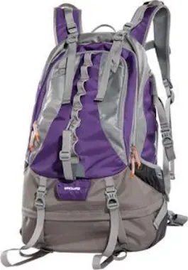 Vanguard Vanguard Kinray 48PR Gris, Púrpura Vanguard Vanguard Kinray 48PR Gris, Púrpura