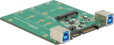 delock 62732 interno m2 msata tarjeta y adaptado