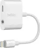 Belkin Belkin RockStar 3.5 mm + Lightning Lightning Blanc Belkin Belkin RockStar 3.5 mm + Lightning Lightning Blanc