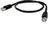 Gembird Gembird Patch Cord Cat.6 UTP 3m 3m Cat6 U/UTP (UTP Gembird Gembird Patch Cord Cat.6 UTP 3m 3m Cat6 U/UTP (UTP