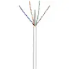 GooBay Goobay CAT 6 U/UTP 100m 100m Cat6 U/UTP (UTP) Gris GooBay Goobay CAT 6 U/UTP 100m 100m Cat6 U/UTP (UTP) Gris