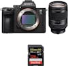 Sony Alpha 7 III + FE 24-240 mm f/3.5-6.3 OSS + SanDisk Sony Alpha 7 III + FE 24-240 mm f/3.5-6.3 OSS + SanDisk