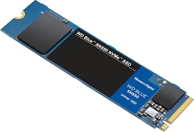 Western Digital Western Digital WD Blue SN550 NVMe M.2 250 GB PCI