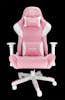 Talius TALIUS Silla Dragonfly gaming blanco/rosa 2D, butt Talius TALIUS Silla Dragonfly gaming blanco/rosa 2D, butt