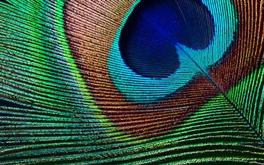 Epson Epson EH-TW7000 Epson Epson EH-TW7000