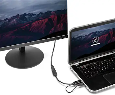 StarTech.com StarTech.com Conversor HDMI a DisplayPort - 4K StarTech.com StarTech.com Conversor HDMI a DisplayPort - 4K