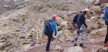 Sandberg Sandberg Solar Charger 13W 2xUSB Sandberg Sandberg Solar Charger 13W 2xUSB