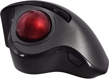 V7 V7 MW650 ratón mano derecha RF inalámbrico Óptico V7 V7 MW650 ratón mano derecha RF inalámbrico Óptico