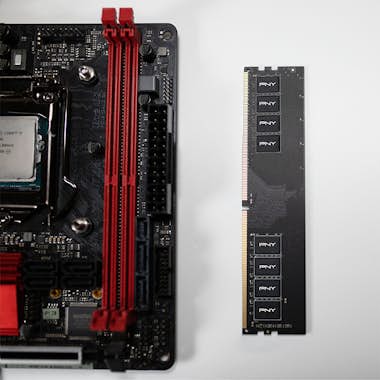 PNY PNY MD16GSD42666 módulo de memoria 16 GB 1 x 16 GB PNY PNY MD16GSD42666 módulo de memoria 16 GB 1 x 16 GB