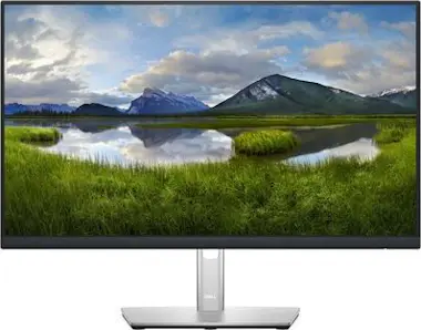 Dell DELL Monitor 24 - P2422H Dell DELL Monitor 24 - P2422H