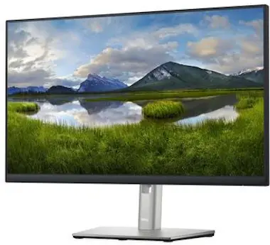 Dell DELL Monitor 24 - P2422H Dell DELL Monitor 24 - P2422H