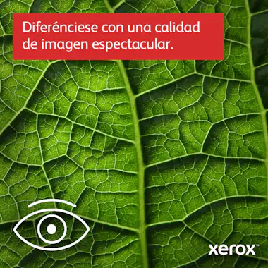 Xerox Xerox B225 A4 34 ppm Inalámbrica a doble cara Copi Xerox Xerox B225 A4 34 ppm Inalámbrica a doble cara Copi