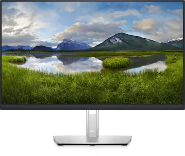 Dell DELL P2422HE 60,5 cm (23.8"") 1920 x 1080 Pixeles Dell DELL P2422HE 60,5 cm (23.8"") 1920 x 1080 Pixeles