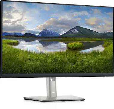 Dell DELL P2422HE 60,5 cm (23.8"") 1920 x 1080 Pixeles Dell DELL P2422HE 60,5 cm (23.8"") 1920 x 1080 Pixeles