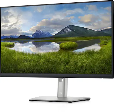 Dell DELL P2422HE 60,5 cm (23.8"") 1920 x 1080 Pixeles Dell DELL P2422HE 60,5 cm (23.8"") 1920 x 1080 Pixeles