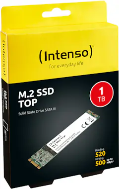 Intenso Intenso Top Performance M.2 1000 GB Serial ATA III Intenso Intenso Top Performance M.2 1000 GB Serial ATA III