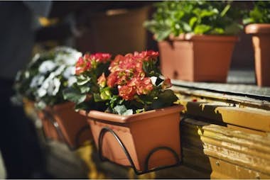 Plastiken Jardinera rectangular Ø 80x26 cm - Terracota Plastiken Jardinera rectangular Ø 80x26 cm - Terracota