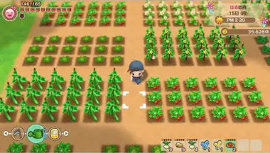 Just for Games Story of Seasons Friends of Mineral Town Juego de Just for Games Story of Seasons Friends of Mineral Town Juego de
