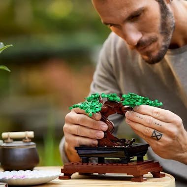 Lego Creator Expert 10281 Bonsai Creative Hobby para ad Lego Creator Expert 10281 Bonsai Creative Hobby para ad
