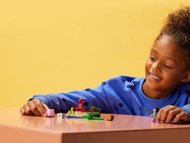 Lego 21177 Minecraft The Creeper Ambush Lego 21177 Minecraft The Creeper Ambush