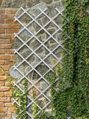 Comercial Candela Celosia Extensible Plastica 1 x 2 Metros Blanco Comercial Candela Celosia Extensible Plastica 1 x 2 Metros Blanco