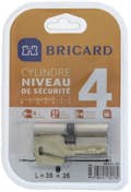 BRICARD SERIAL XP 18003 Cilindro 35+35 mm doble entrada ni