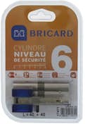 BRICARD CHIFRAL S2 17471 Cilindro 40+40 mm doble entrada n