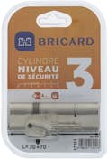 BRICARD TRIALS 17211 Cilindro 30+70 mm doble entrada latón