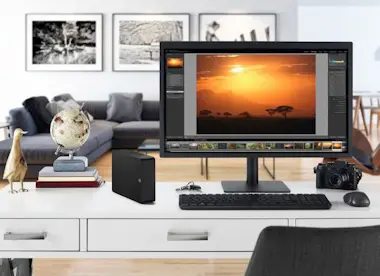 Seagate Disco duro externo - SEAGATE - Expansión portátil Seagate Disco duro externo - SEAGATE - Expansión portátil