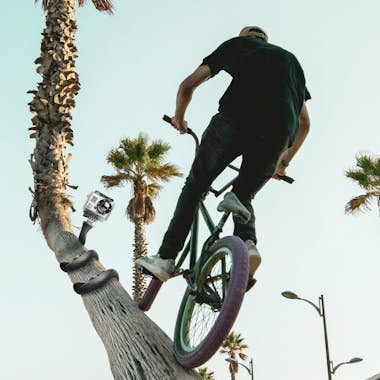 Celly Celly Snake palo para autofotos Universal Negro Celly Celly Snake palo para autofotos Universal Negro