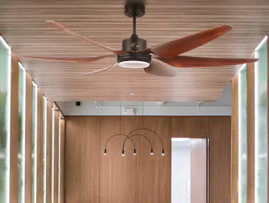 KlassFan Ventilador de techo DC marrón y palas de resina 16 KlassFan Ventilador de techo DC marrón y palas de resina 16