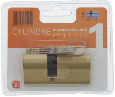 BRICARD PRATIC 1444 Cilindro 30+40 mm en latón doble entra BRICARD PRATIC 1444 Cilindro 30+40 mm en latón doble entra