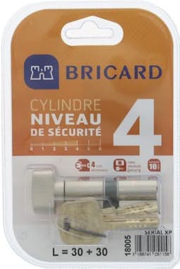 BRICARD SERIAL XP 18004 Cilindro de 30+30 mm con pomo niqu BRICARD SERIAL XP 18004 Cilindro de 30+30 mm con pomo niqu