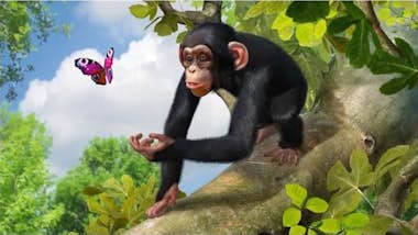 Microsoft Zoo Tycoon Ultimate Animal Collection Xbox One Ale Microsoft Zoo Tycoon Ultimate Animal Collection Xbox One Ale