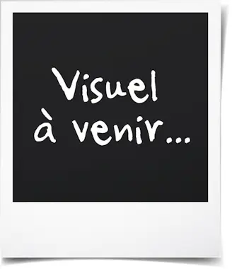 Otros CÁMARA frontal para Apple IPHONE XR Módulo de sens Otros CÁMARA frontal para Apple IPHONE XR Módulo de sens