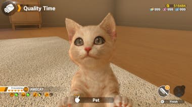 Nintendo Nintendo Little Friends: Dogs and Cats Estándar Pl Nintendo Nintendo Little Friends: Dogs and Cats Estándar Pl