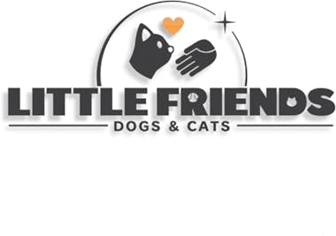 Nintendo Nintendo Little Friends: Dogs and Cats Estándar Pl Nintendo Nintendo Little Friends: Dogs and Cats Estándar Pl