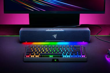 RAZER Razer Leviathan V2 X Negro RAZER Razer Leviathan V2 X Negro