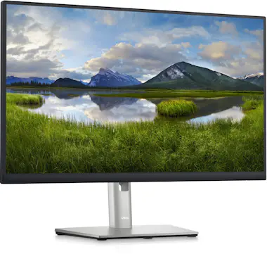 Dell DELL P Series Monitor 60,45cm (23,8"") – P2423D Dell DELL P Series Monitor 60,45cm (23,8"") – P2423D