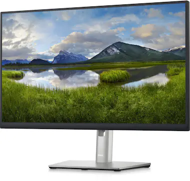 Dell DELL P Series Monitor 60,45cm (23,8"") – P2423D Dell DELL P Series Monitor 60,45cm (23,8"") – P2423D