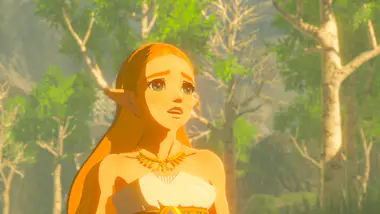 Nintendo Nintendo The Legend of Zelda: Breath of the Wild E Nintendo Nintendo The Legend of Zelda: Breath of the Wild E