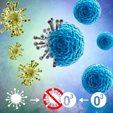 Gridinlux Generador Ozono Desinfectante Purificador Emisión Gridinlux Generador Ozono Desinfectante Purificador Emisión