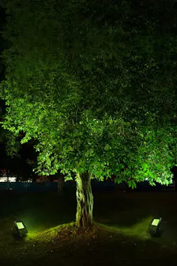 Forlight FORLIGHT Proyector Ip65 Advance Green Led 8W Negro Forlight FORLIGHT Proyector Ip65 Advance Green Led 8W Negro