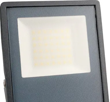Forlight FORLIGHT Proyector Ip66 Pro Big Led 30W 4000K Gris Forlight FORLIGHT Proyector Ip66 Pro Big Led 30W 4000K Gris
