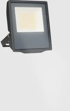 Forlight FORLIGHT Proyector Ip66 Pro Big Led 30W 4000K Gris Forlight FORLIGHT Proyector Ip66 Pro Big Led 30W 4000K Gris